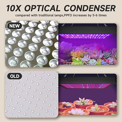 Miniatura 6 de Luz LED de crecimiento de plantas de 2000 W, regulable, las mejores luces de cultivo para plantas de interior de espectro completo, semillas,