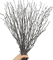 Koceko 30pcs 17" Natural Dried Birch Twigs - Real Branches for Vases, DIY Crafts, Floral Arrangements, Rustic Home Decor & Wreaths