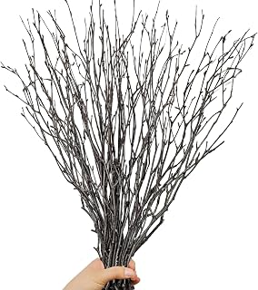 Koceko 30pcs 17" Natural Dried Birch Twigs - Real Branches for Vases, DIY Crafts, Floral Arrangements, Rustic Home Decor & Wreaths