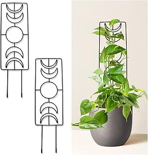 Garden Trellis for Climbing Plants, Moon Phase Plant Trellis Indoor Houseplant Plant Small Garden Trellis for Potted Plant Trellis Pot Trellis Set of 2