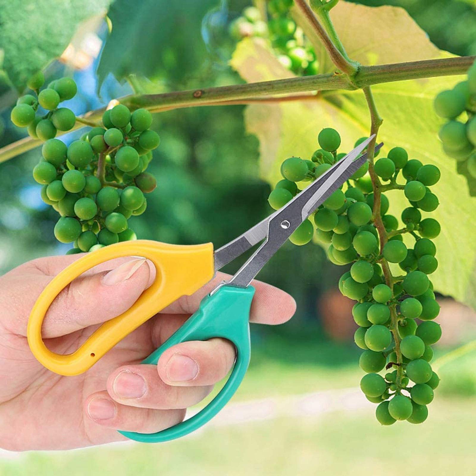 Gartenschere für die Gartenarbeit, Edelstahl, Garten-Bonsai, Bonsai-Schere, Trauben-Schere, stoßdämpfendes Kissen, Gärten, Blumen, für Obstbäume, Baumschule