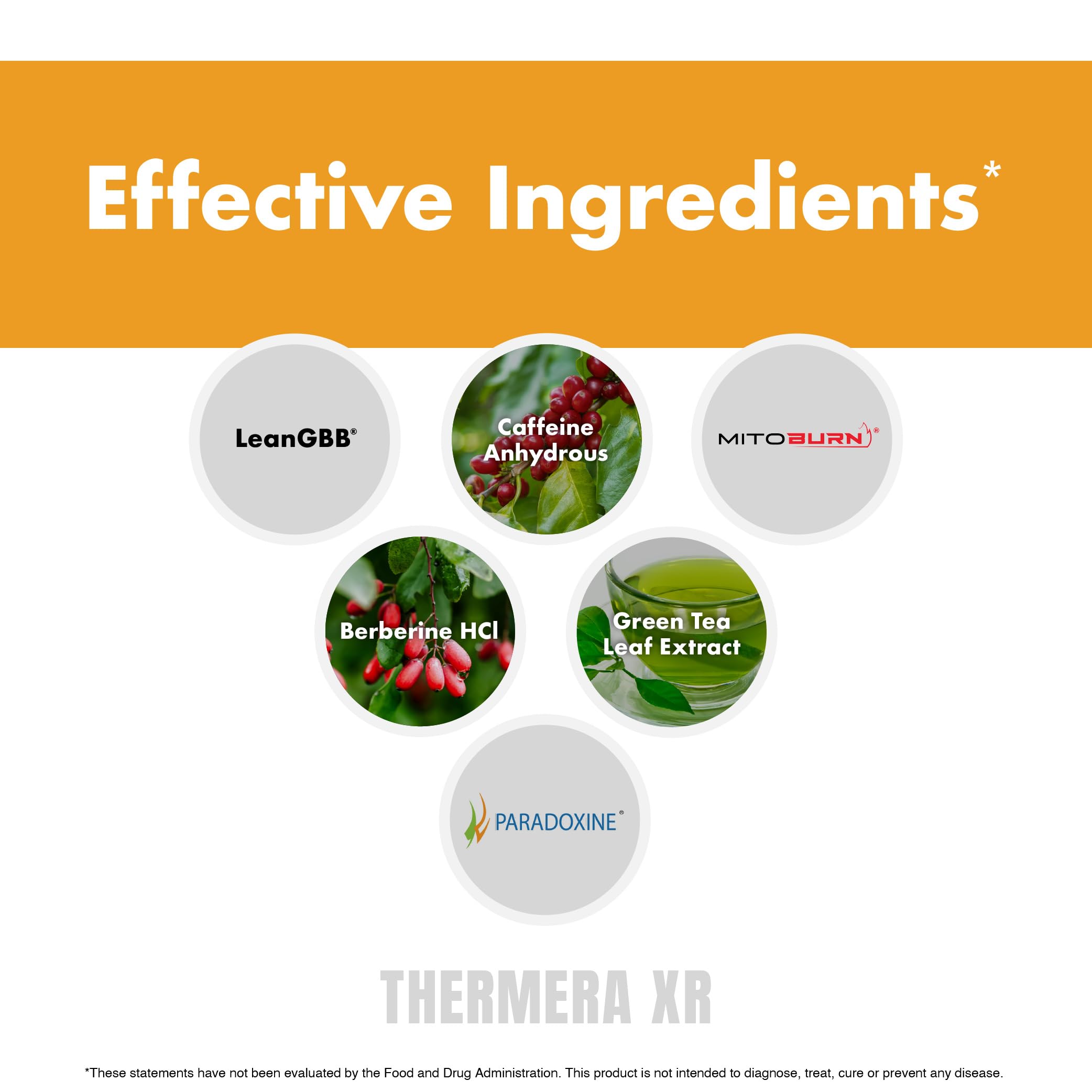 Thermera XR® from Anabolic Warfare – Thermogenic Body Composition Supplement– 160 Capsules* — Amazon image 6