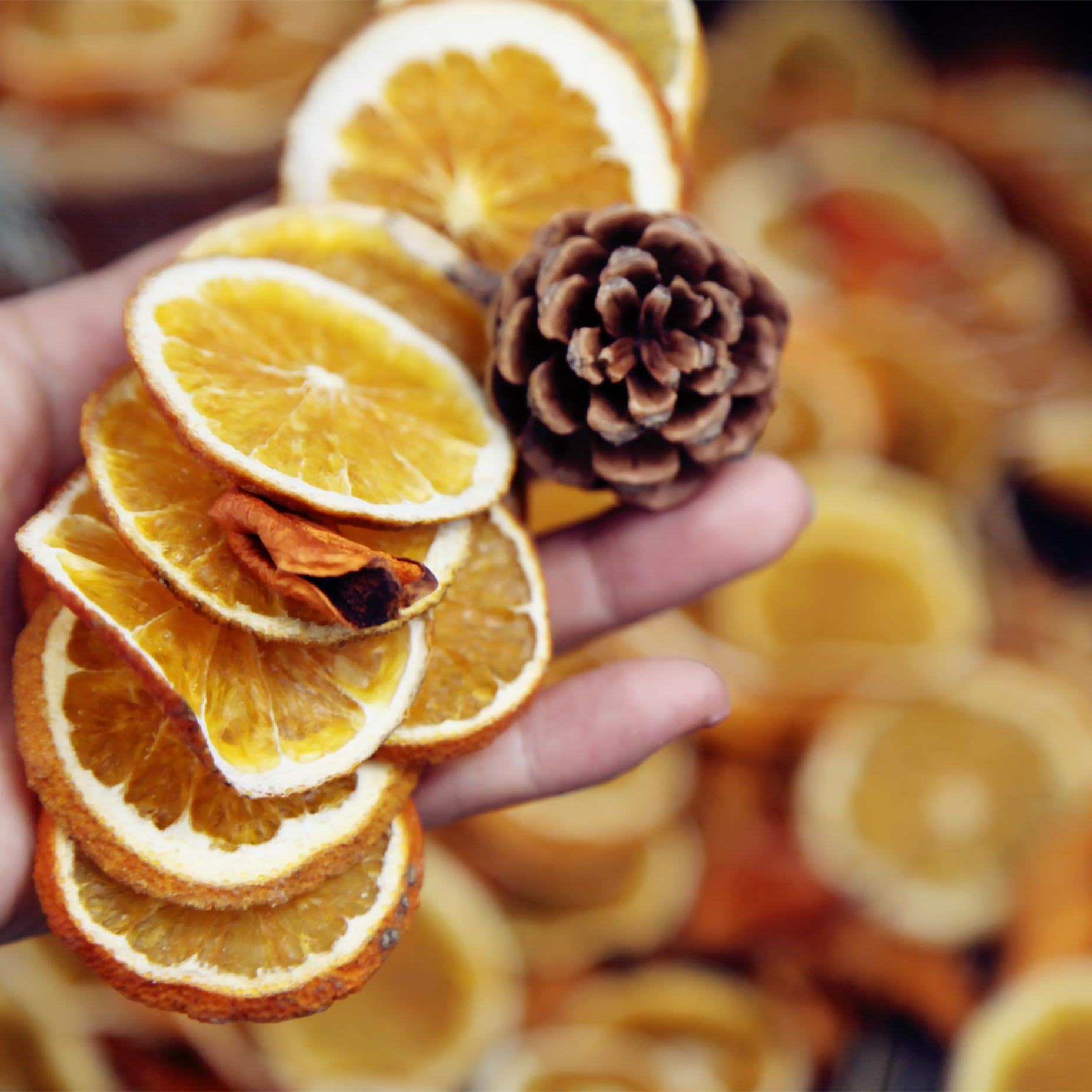 Generic Dried Real Natural Sunflower Heads, Good for Bowl Fillers and Crafts, 8 Sunflowers, 3-4 inches, Brown, OTBSRPU4