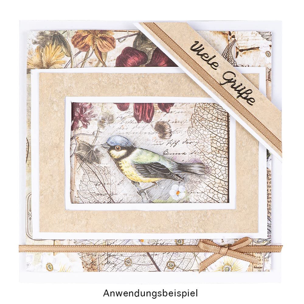Ideen Mit Herz Juego de Tarjetas Plegables en Blanco Con Sobres | 50 Tarjetas y 50 Sobres | Para Diseñar (14,5 x 14,5 cm | Cuadradas)