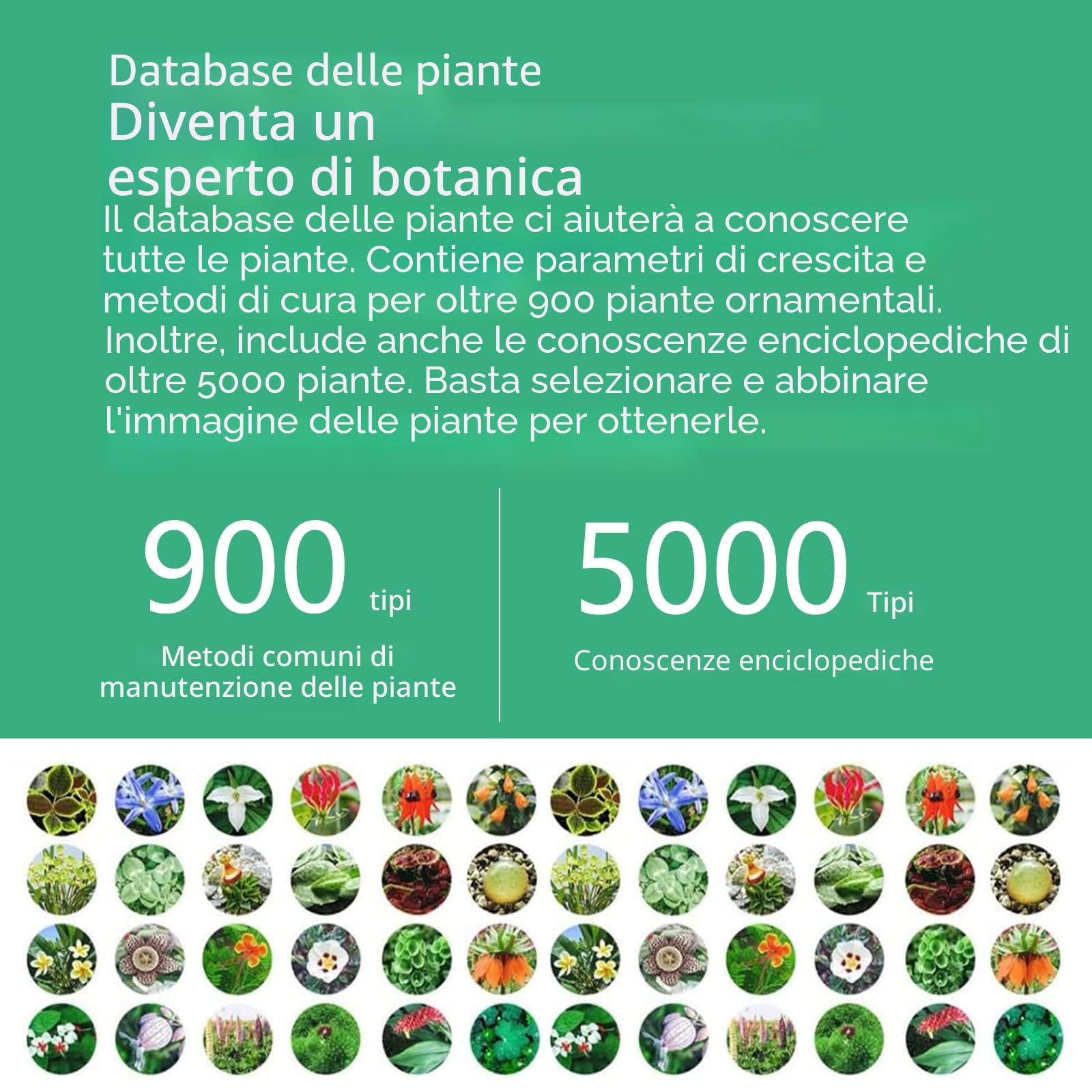 4 in 1 Sensore Umidità Terreno, Igrometro Piante, Misuratore Umidità Terreno, Intelligente Tester del Umidità/Luce/Fertilità/Temperatura, per Mijia APP e Interno(1 PCS)