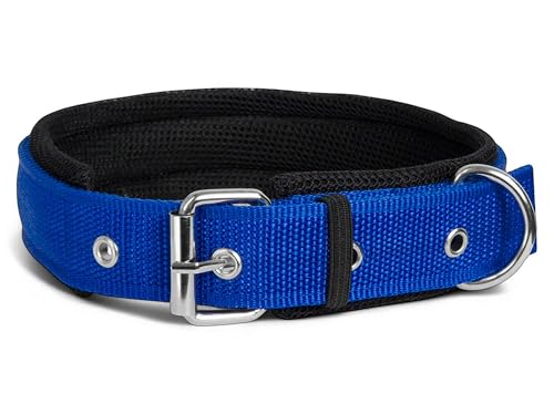 AIK India Nylon Dog Collar for Medium Dogs, Soft Padded Dog Belt Neck Collar, Dog Belt for Medium Dogs Beagle, Basenji, Boxer, Dalmatian, Shiba Inu (Blue, M), 19 inch