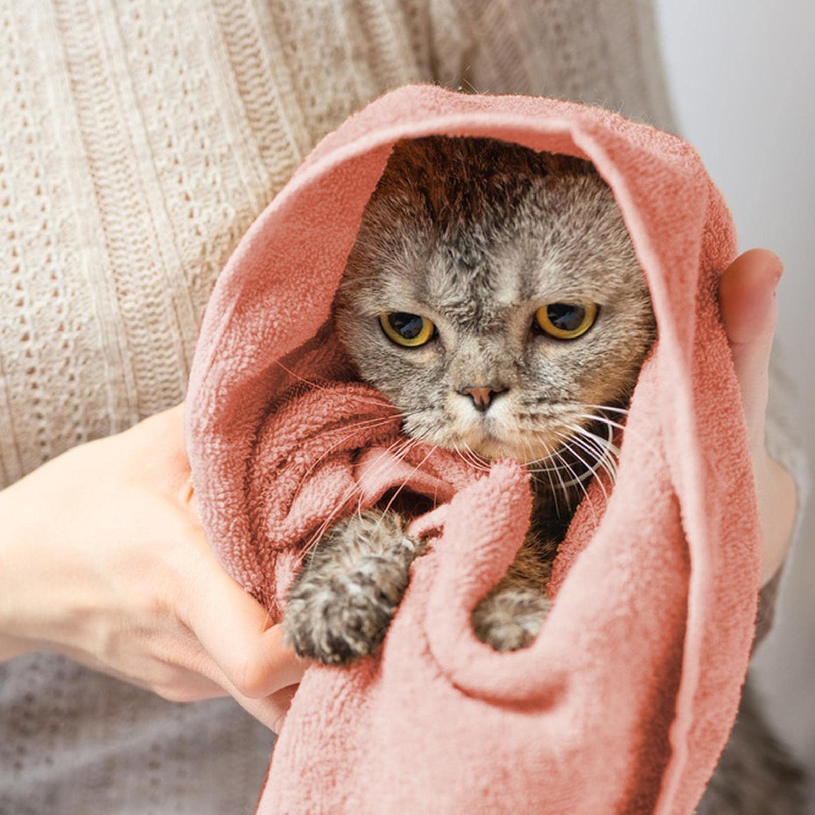 Asciugamani Rapid Asciugatura Per Cani - 2 Pezzi Microfibra 90x50 Cm - Foto 3