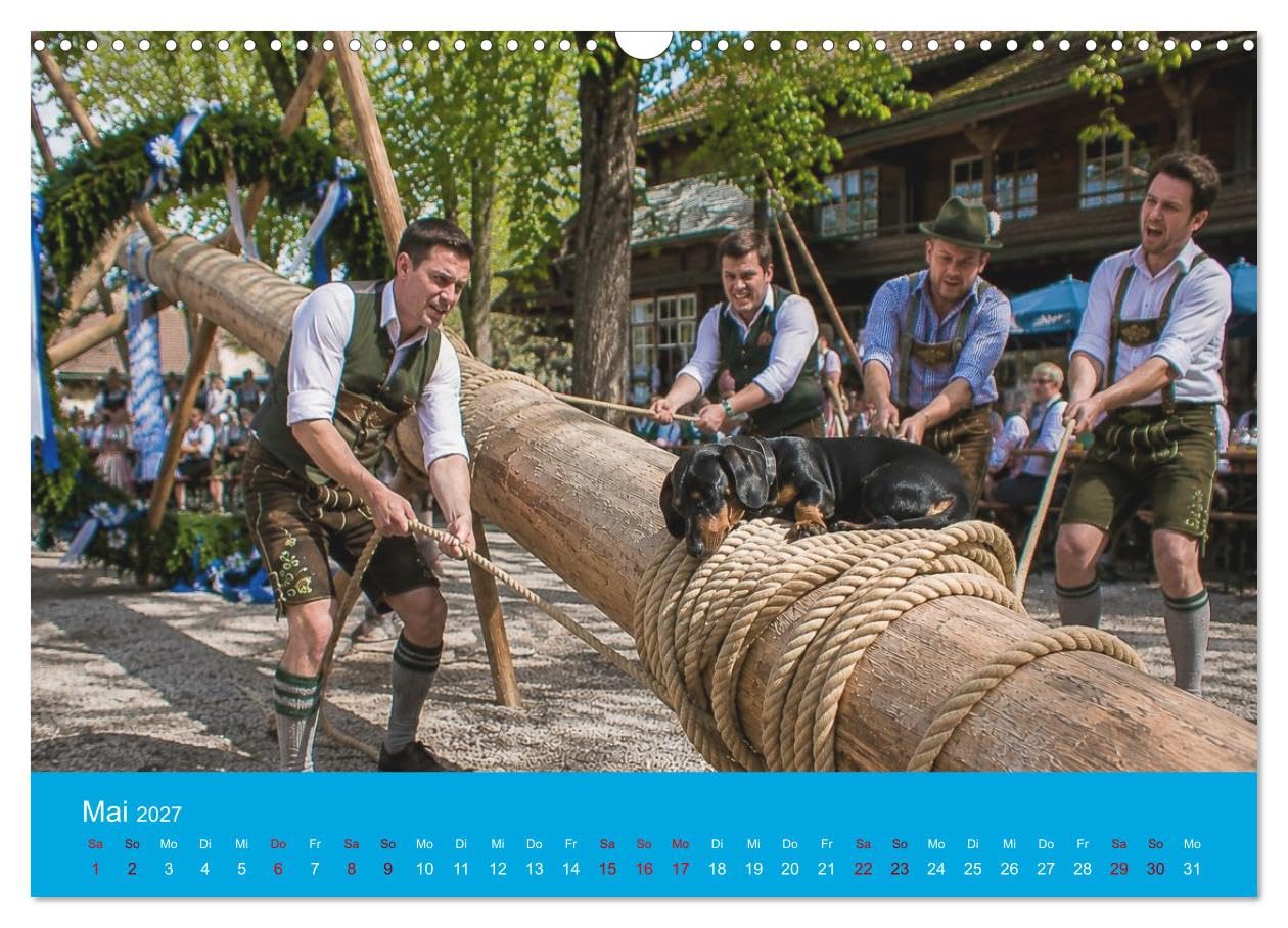Calendrier 2027 · Teckels, bière et bretzels