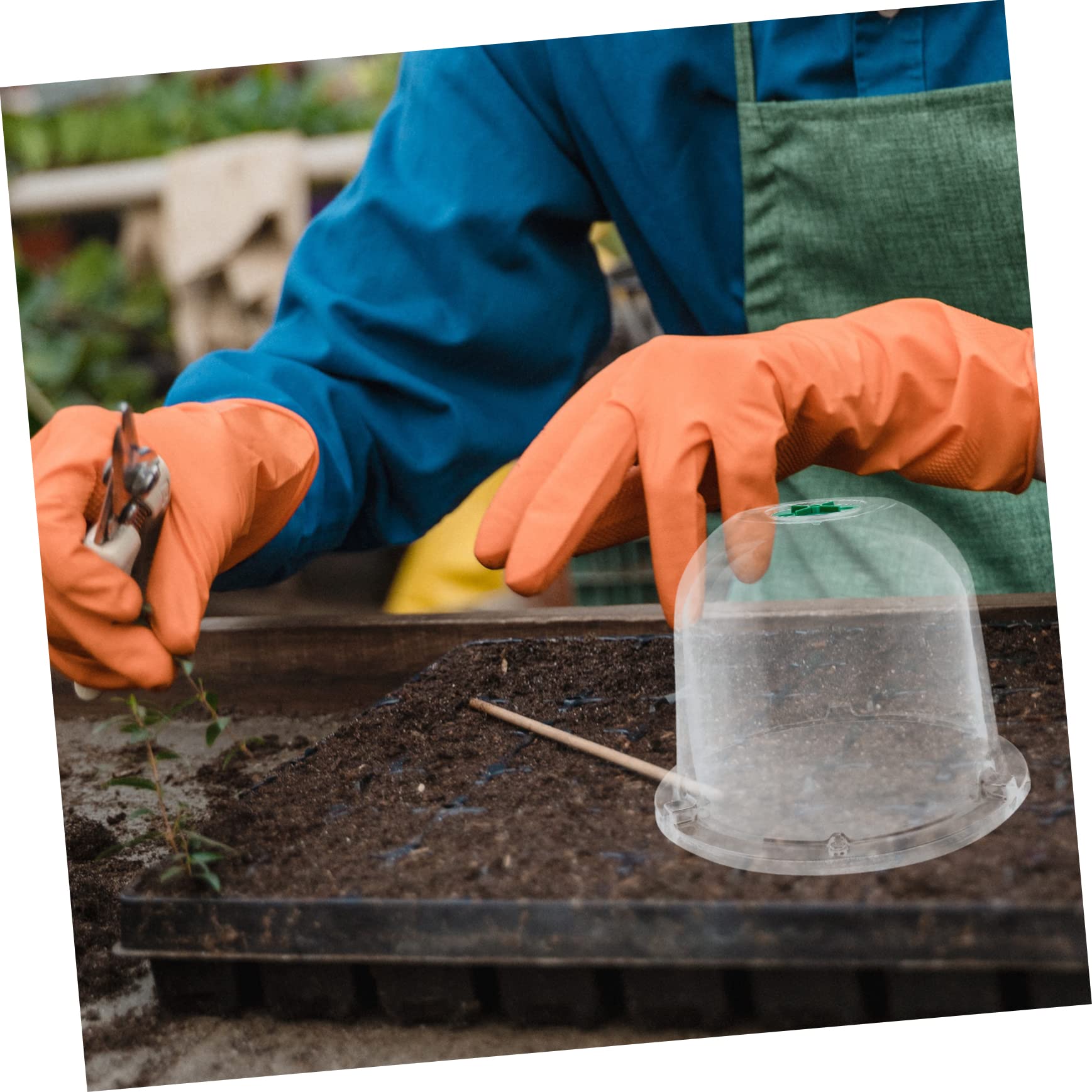 Abaodam 5Pcs Plant Heat Preservation Cloche for Outdoor Use Durable Portable Plant Protector to Shield Against Frost and Preserve Humidity