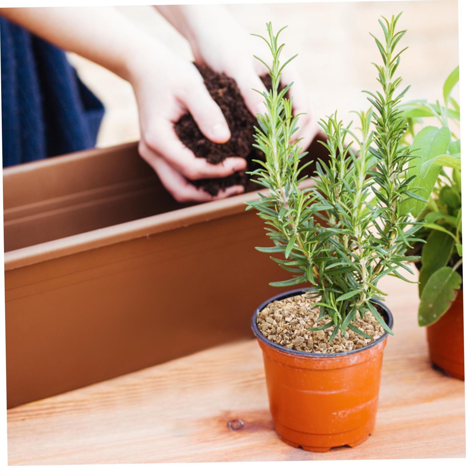 ifundom Vermiculite Fine 3l pour Semis et Croissance des Plantes | Granulés Horticoles, Rétention D’eau Élevée, Usage Intérieur en Pots et Plantation Agricole