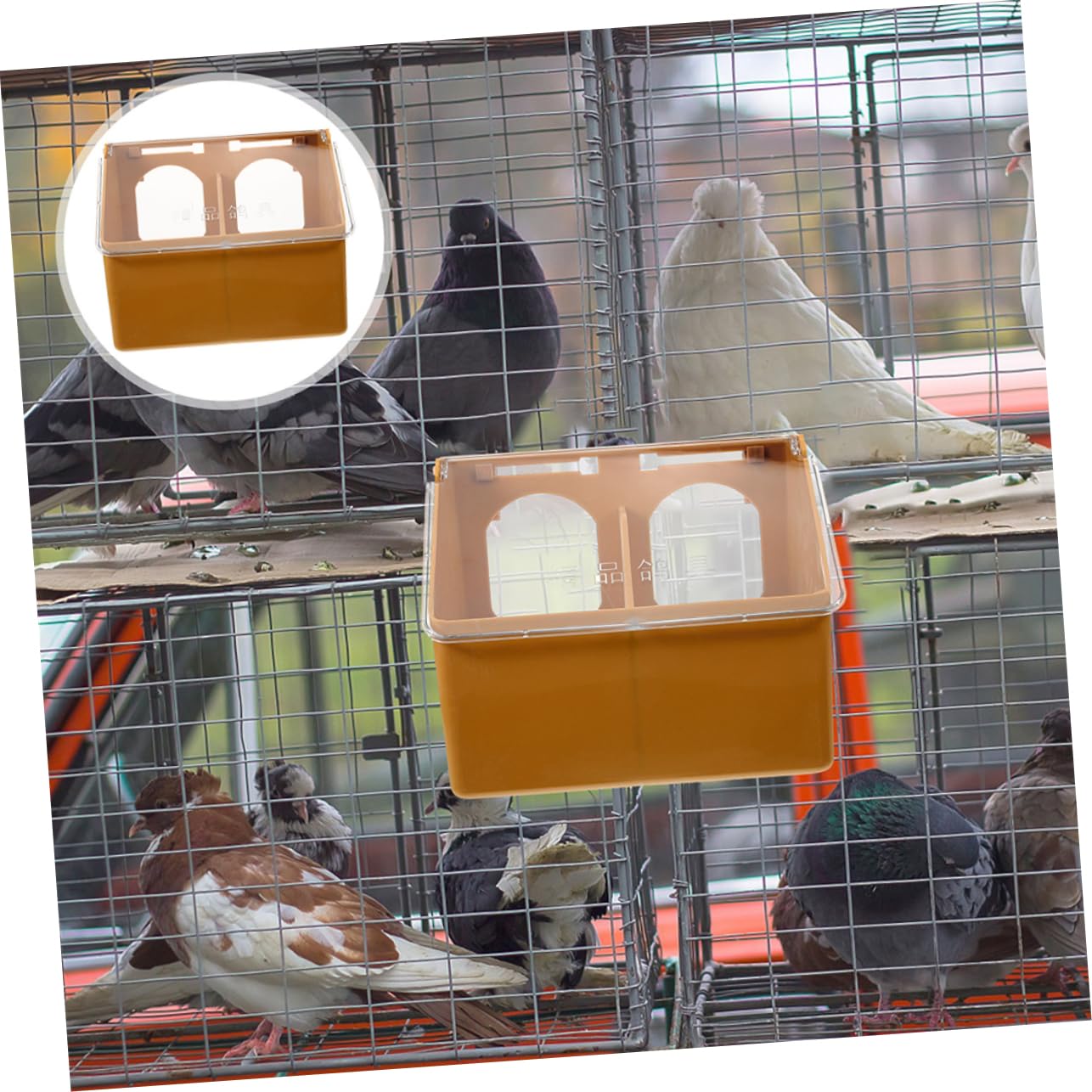 Milisten 8stücke Multifunktionale Vogel Futterstation Für Käfige Hängende Futterbox Für Tauben Wellensittiche Kanarienvögel Und Wachteln Und Installieren Große Kapazität Mit