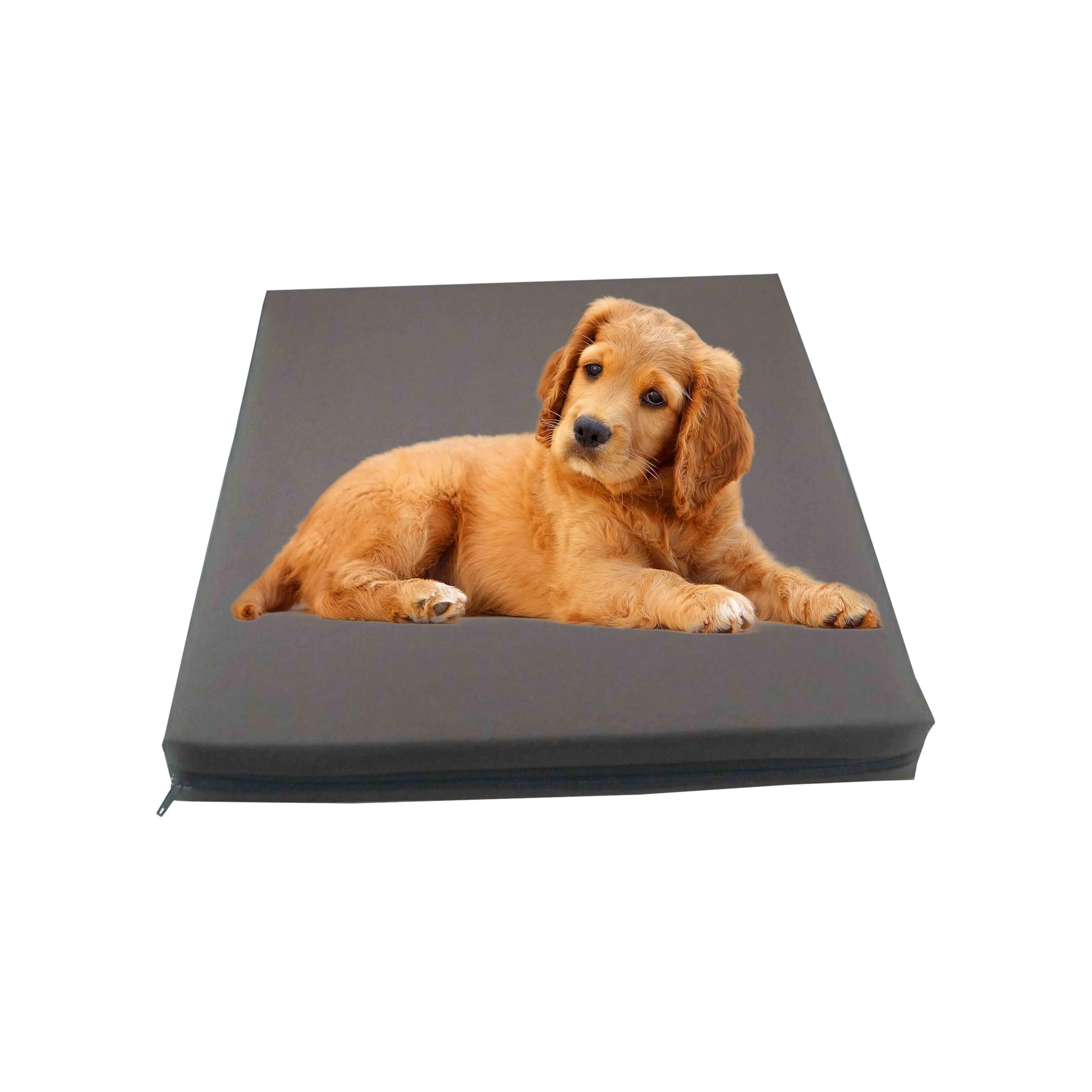 GRIZZLY FOAM Waterproof Dog Bed Cushion and Mattress for Indoor and Outdoor Use with Washable & Removable Zipped Cover and Custom (Chocolate Brown, 122x78x5cm)