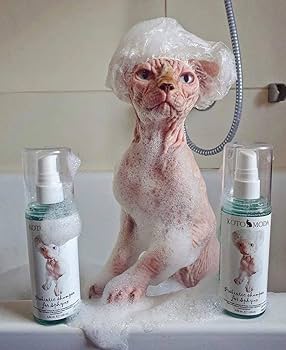 Skout's Honor Probiotic Shampoo + Conditioner Honeysuckle Scented For Dogs & Cats 16 Oz