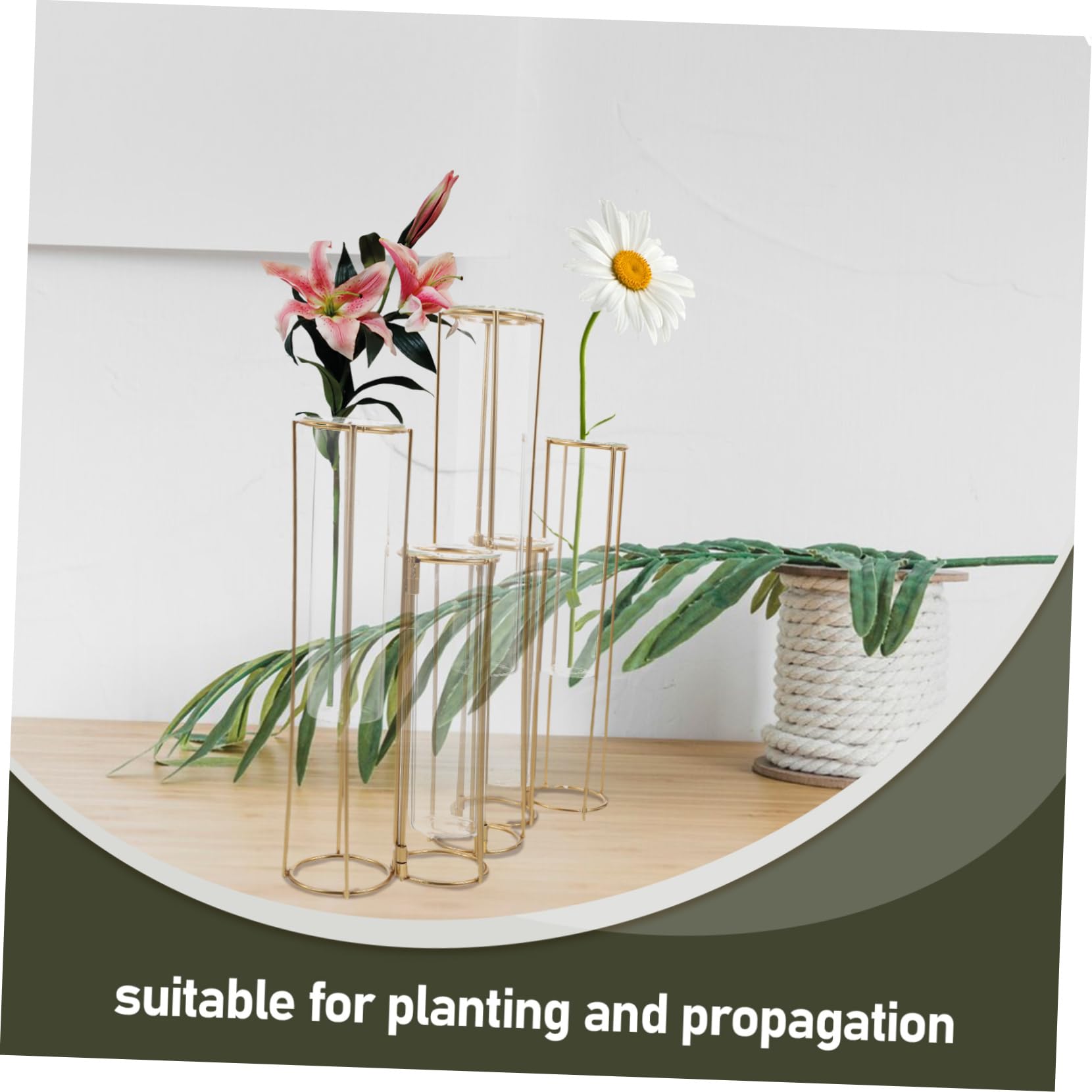 Vases Hydroponiques Verre Tubes à Essai pour Fleurs Jardinière Transparente Support De Plantes pour Décoration De Bureau Salon Et Mariage