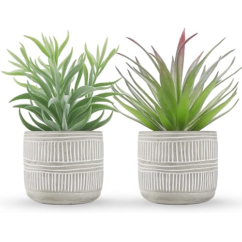 Der Rose 2 Pack Fake Succulents Plants Artificial Succulents in Pots for Room Home Bathroom Bedroom Office Boho Decor