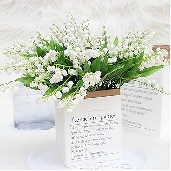 スズラン　日本 鈴蘭 すずらん 茶花　君影草　(20芽) きみかげそう（鈴蘭）～日本の自生南限地を訪ねて｜高坂正澄