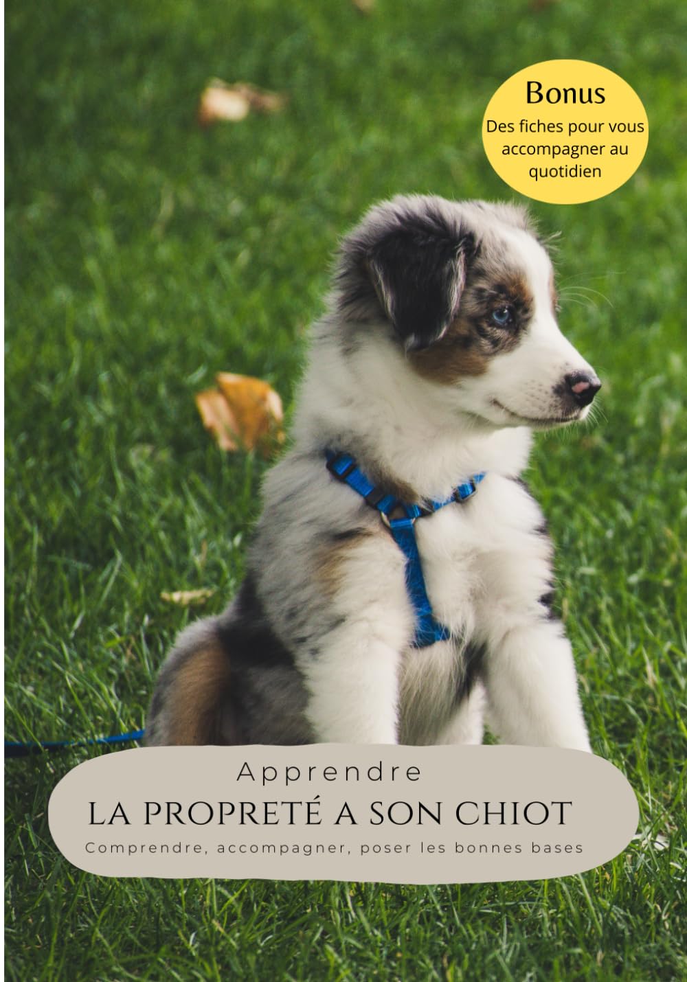 Apprendre la propreté à son chiot: Comprendre, accompagner, poser les bonnes bases