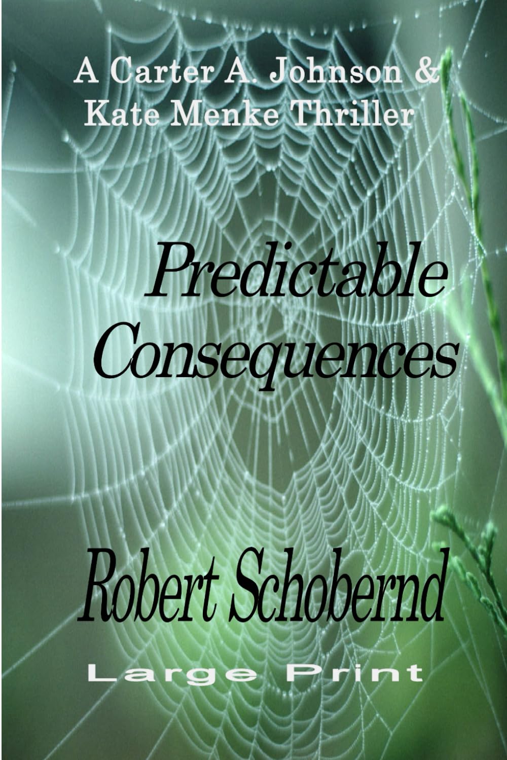 Predictable Consequences: A Carter A. Johnson and Kate Menke crime thriller (Carter A. Johnson & Kate Menke Thrillers)