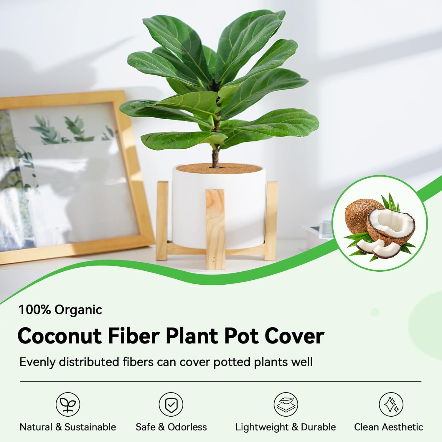 ZeeDix 20 Pack Coconut Fiber Mulch Ring, 11.8 Inch Coco Coir Tree Ring Mulch Mat, 100% Natural Tree Protector Mat Plant Cover Ring Coconut Coir Discs Tree Mats Mulch Rings for Indoor Outdoor Plants