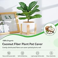 Vista 2 de ZeeDix Paquete de 3 anillos de mantillo de fibra de coco, anillo de coco de 14 pulgadas, tapete de mantillo de árbol de coco 100% natural, protector