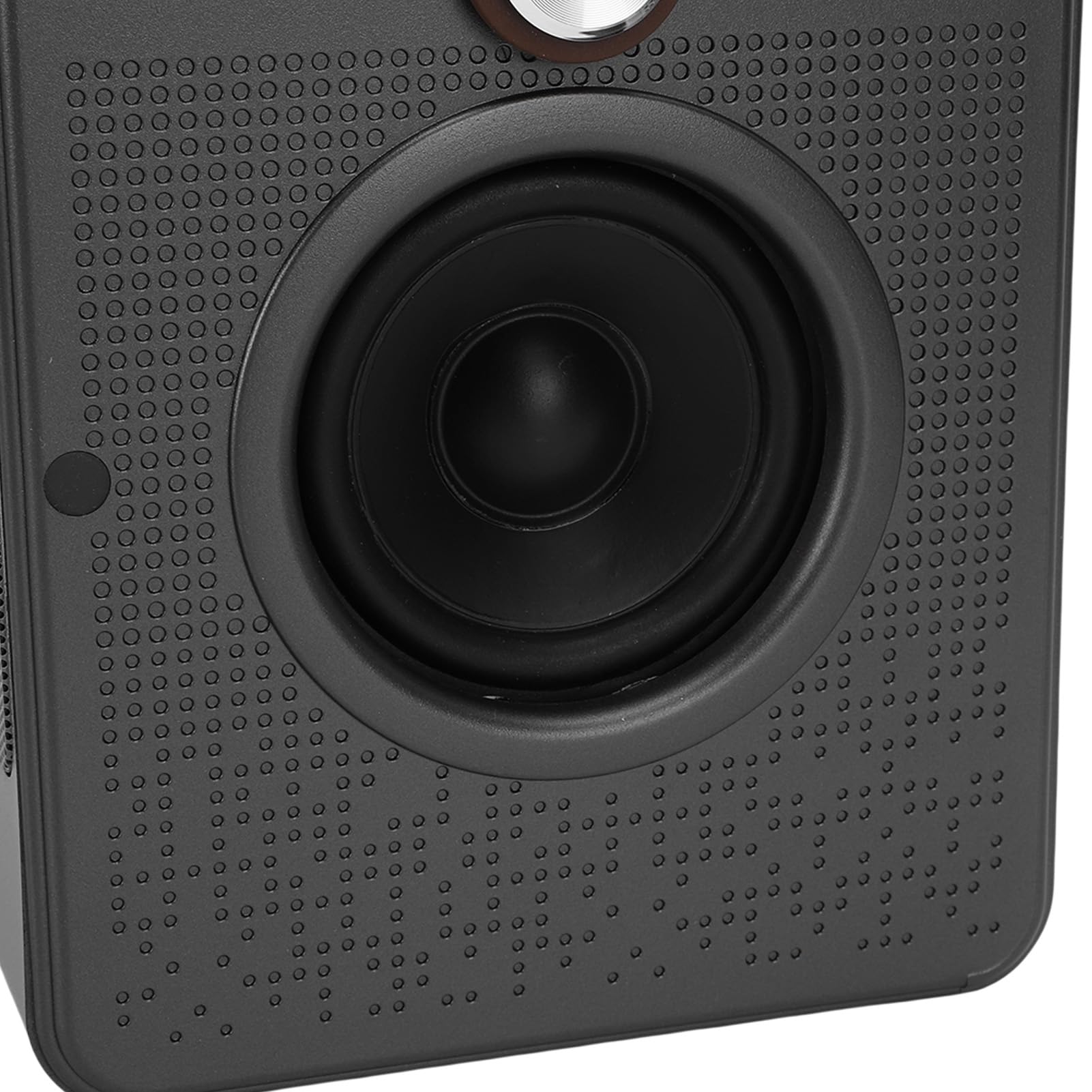 Macchina Karaoke Intelligente, Altoparlante Portatile WiFi 5.4 con Display Testi e 2 Microfoni Wireless di App Professionale, Altoparlante Karaoke per Feste in Casa all'aperto