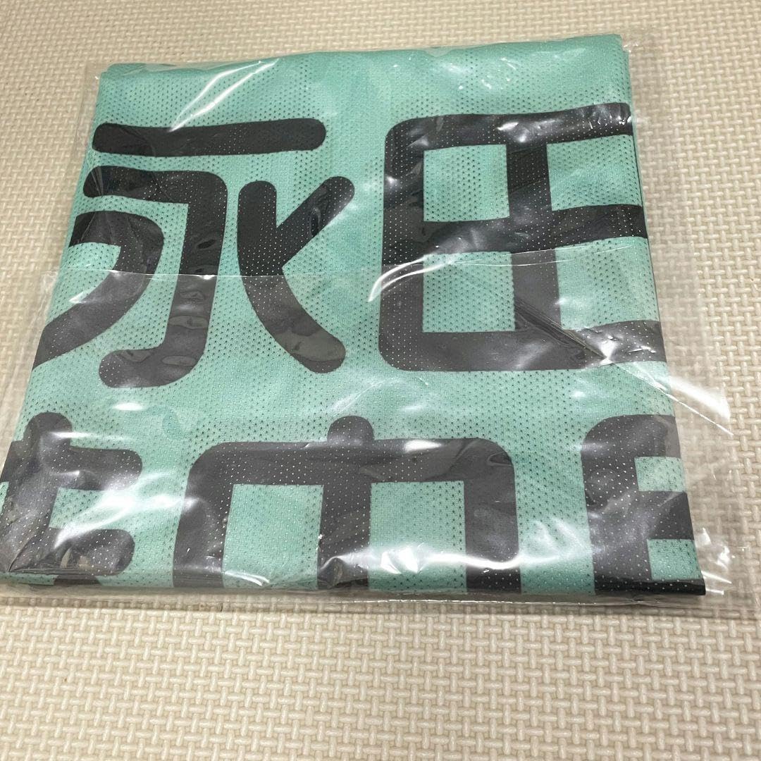 Amazon.co.jp: ノイミー 永田詩央里 ビブス ビッグサイズ 2026 : おもちゃ