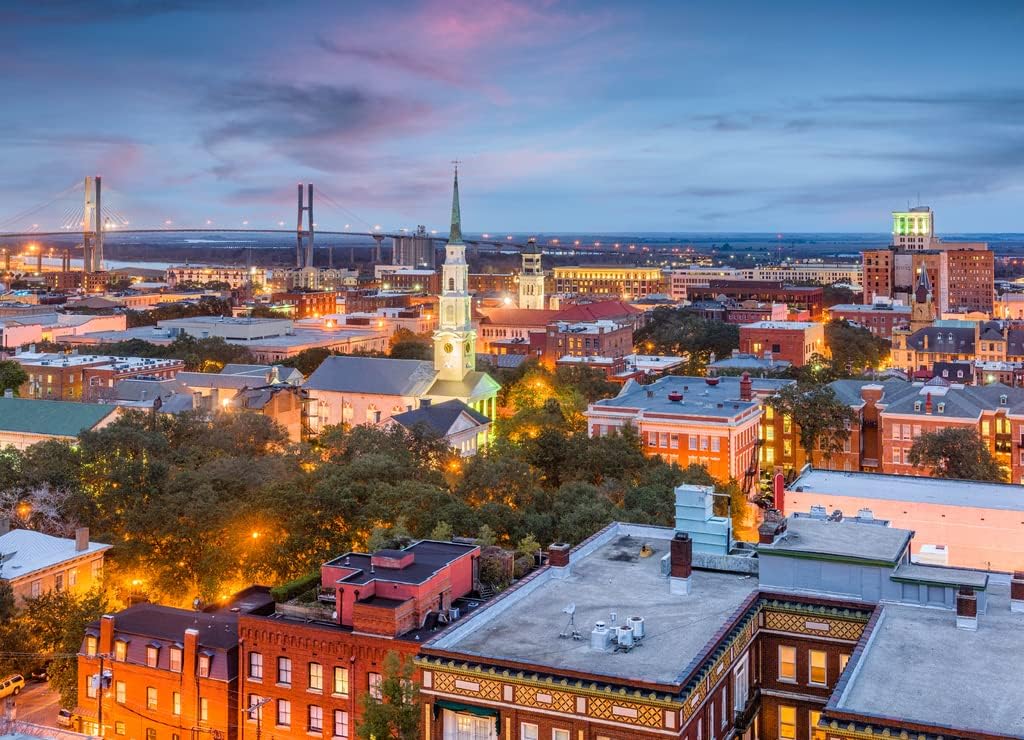 Noah Jigsaw Puzzle Savannah, Georgia, USA Skyline 1000 Pieces