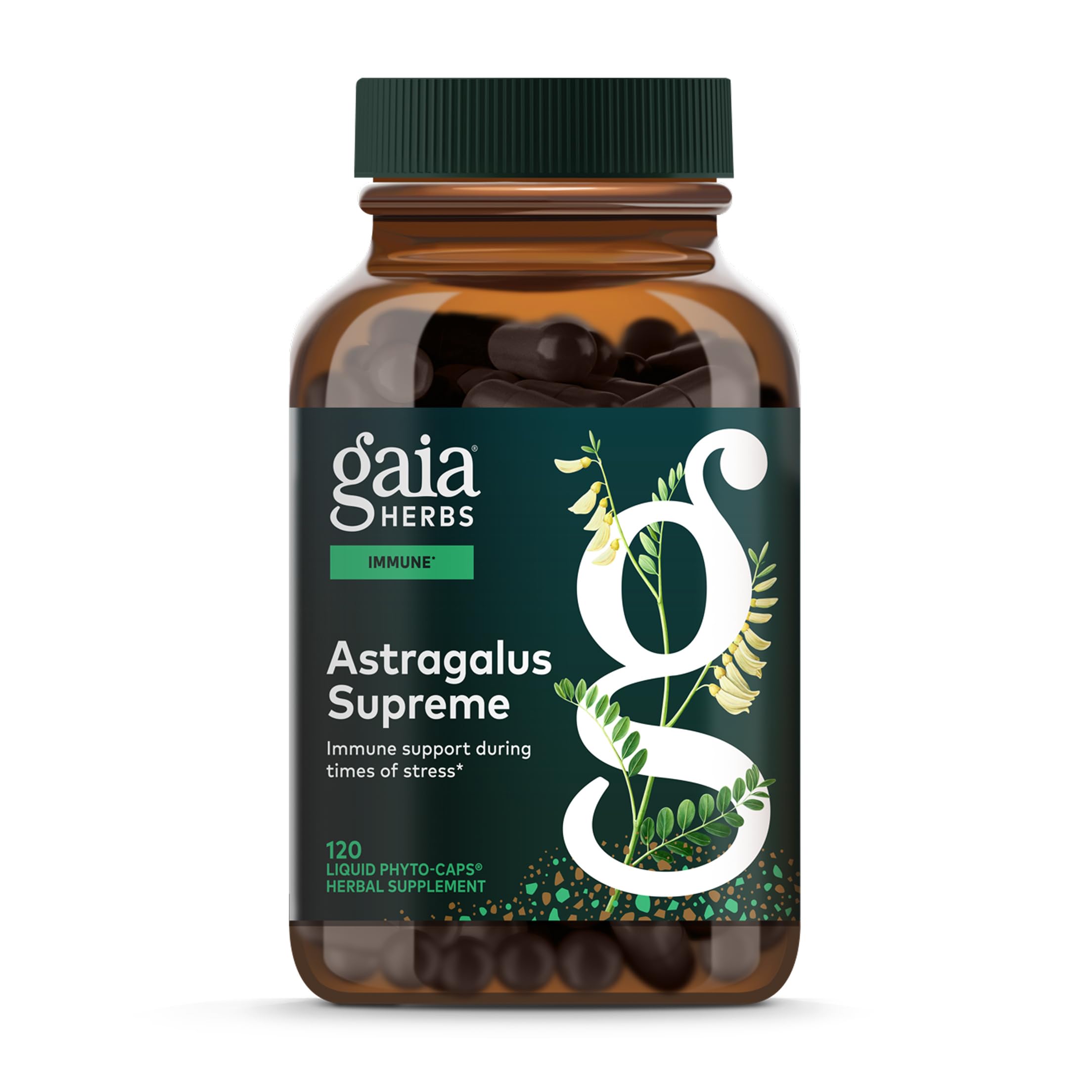 Gaia Herbs Astragalus Supreme - Immune & Antioxidant Support* - Herbal Supplement with Astragalus Root, Schisandra Berry & Ligustrum - 120 Vegan Liquid Phyto-Caps (60 Servings)