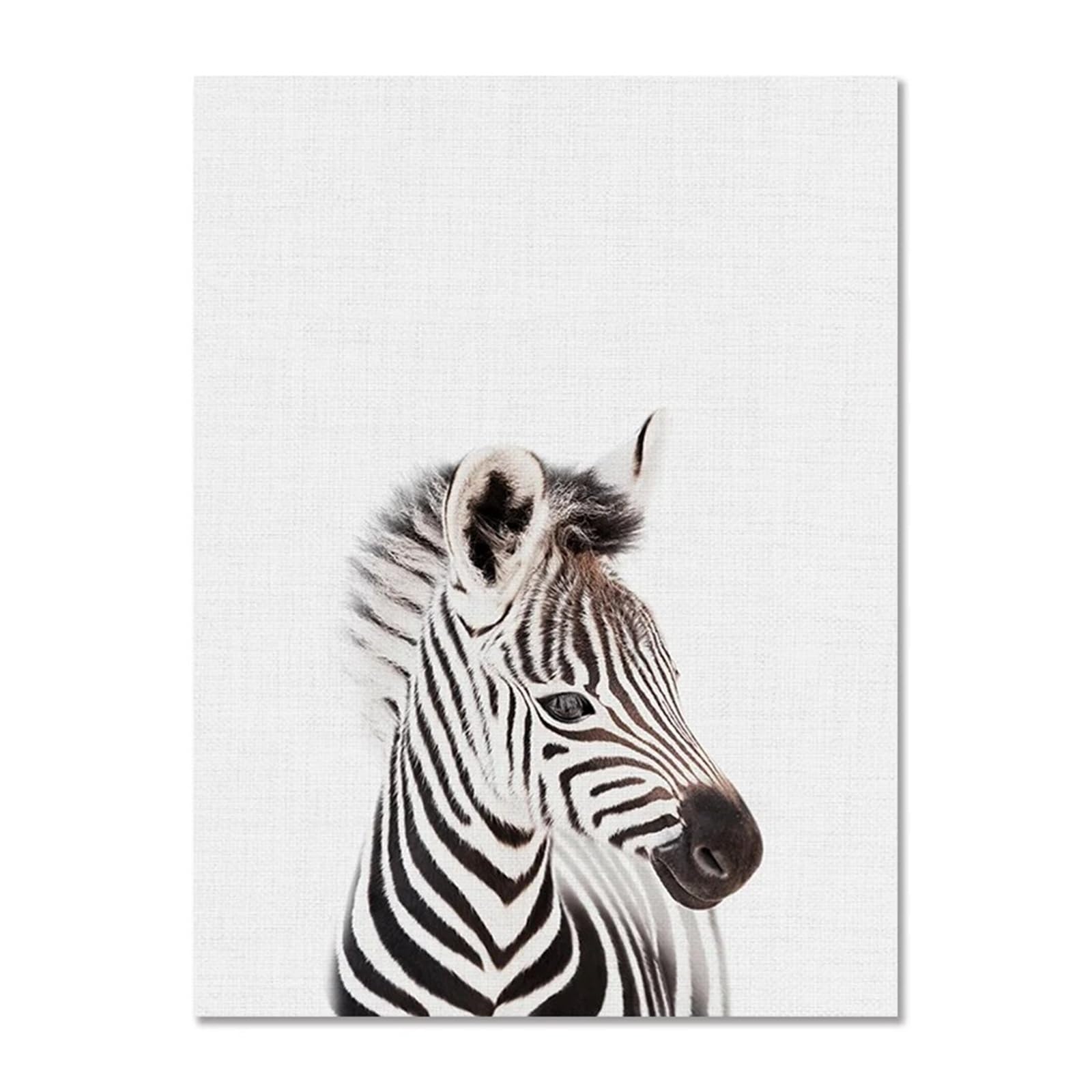 XENITE Wall Art Canvas Prints Canvas Painting Elephant Hippopotamus Giraffe Lion Animal Canvas Painting Decorative Pictures For Living Room Wall Decor(C,50x70cm)