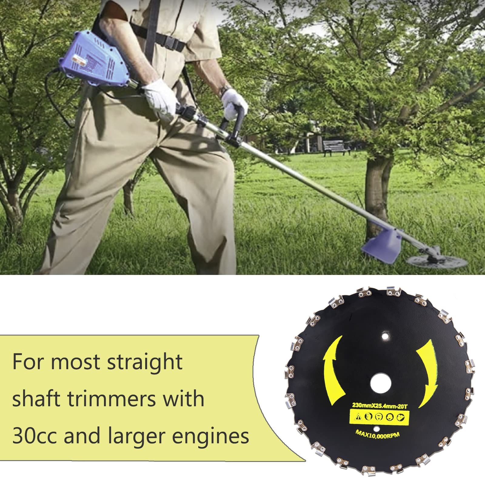 shaunページ 61SxXnN7WLL._UF894,1000_QL80_.jpg