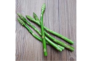 Zzooi Artificial Asparagus Asgus Display Props Cabinet Showcase Decoration