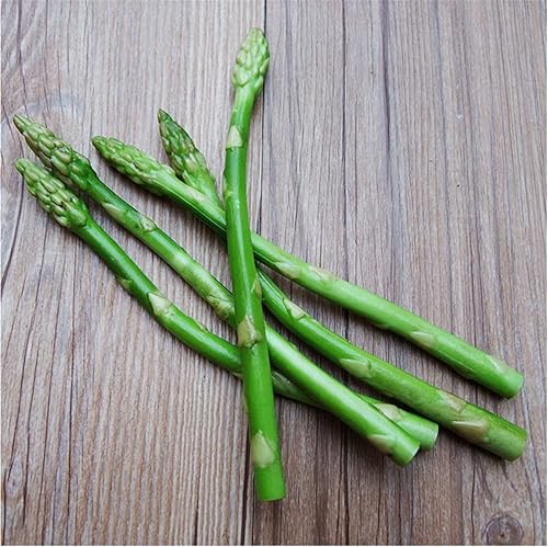 Zzooi 5PCS Artificial Alta Simulación Espárragos Asgus Display Props Gabinete Escaparate Decoración
