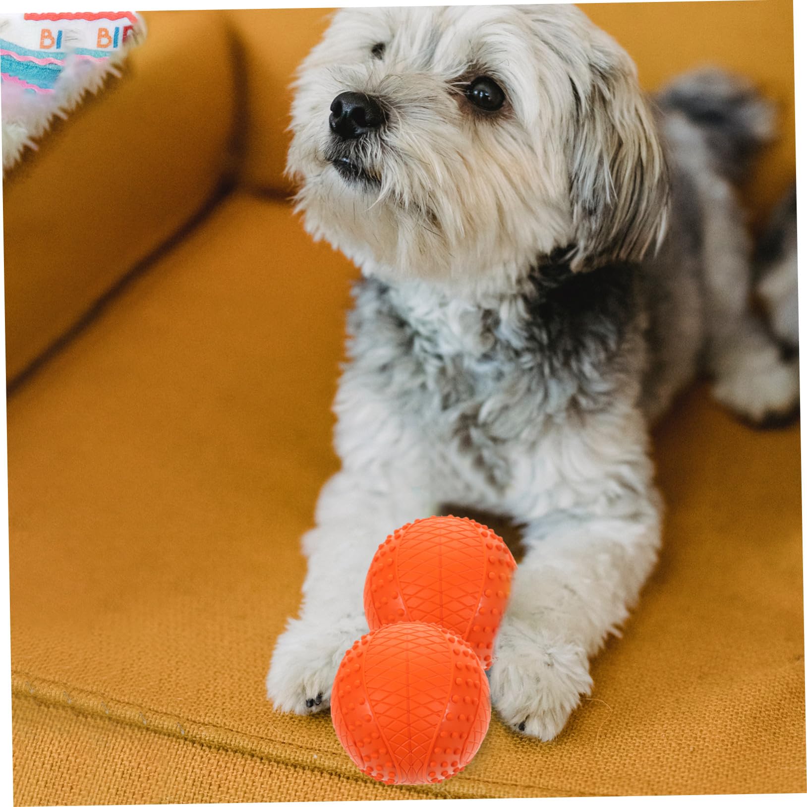DECHOUS 4stücke Gummiball für Hund Welpenball zum Werfen und Apportieren Hundebälle als Kauspielzeug und Trainingsspielzeug Kleine Bälle für Hunde zum Spielen und Kaufen