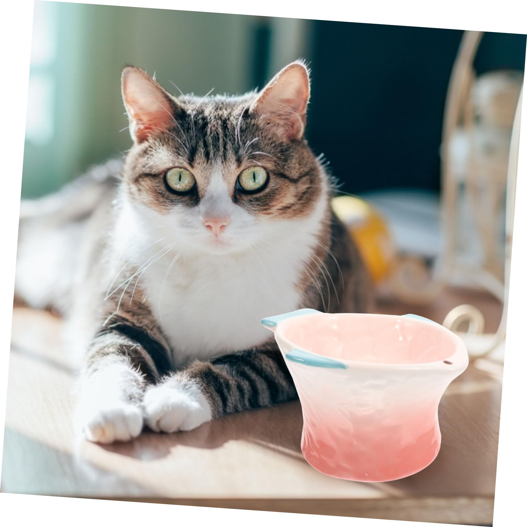 Piatto per Alimenti per Gatti Rosa in Ceramica, Basso e Decorativo | Adatto a Gatti e Cani, per Cibo e Snack, Servizio Prolungato, Stile Creativo a Forma di Pesce