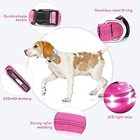Vista 3 de Weesiber Collares para perros con luces LED recargables, luces reflectantes ajustables para perros para caminar por la noche (rosa, S)