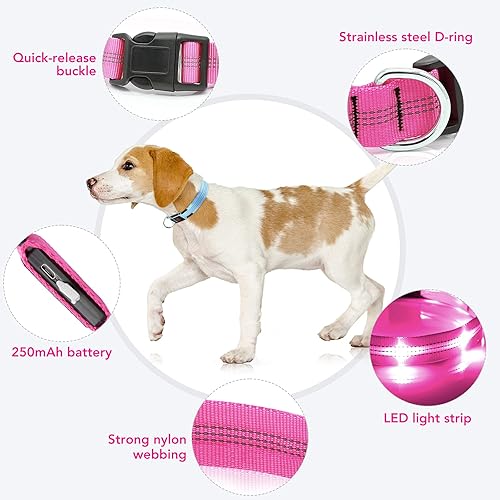 Miniatura 3 de Weesiber Collares para perros con luces LED recargables, luces reflectantes ajustables para perros para caminar por la noche (rosa, S)