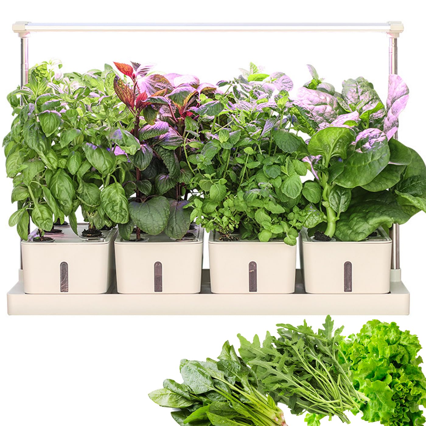 ZHJOPP Hydroponics Growing, Indoor Herb Garden, 20h Timer, 75cm Adjustable Light Stand,Water Inlet Design, Smart Garden Hydroponic