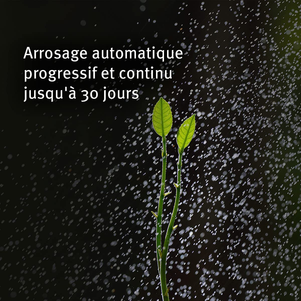 AQUA CONTROL Biogel C2140 Eau Solide pour Plantes, Arrosage Vacances 30 Jours, 400 ML