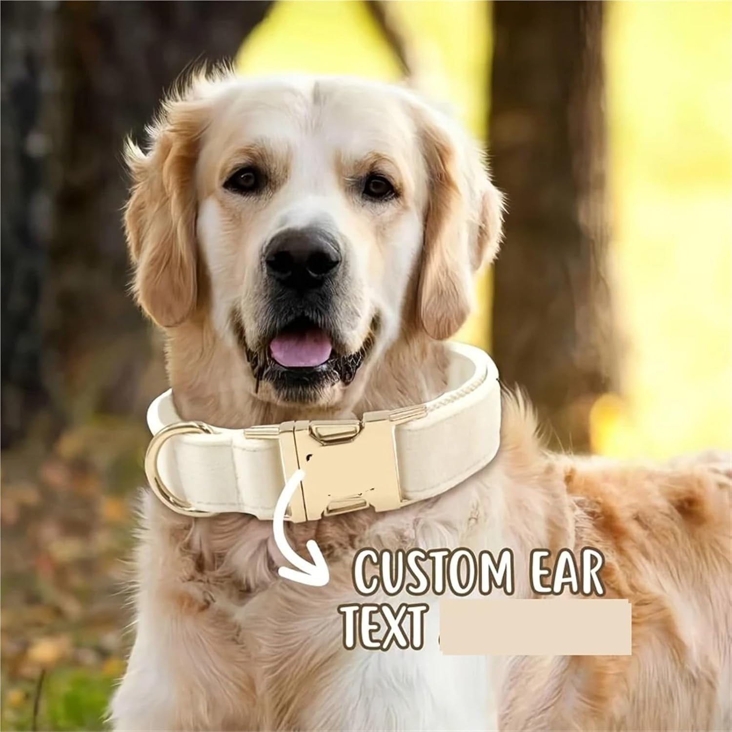 Personalized Dog Collar Velvet, Engraving Custom Name Phone Number ID Tag, Soft Comfy Adjustable Collars Small Medium(White,Large)