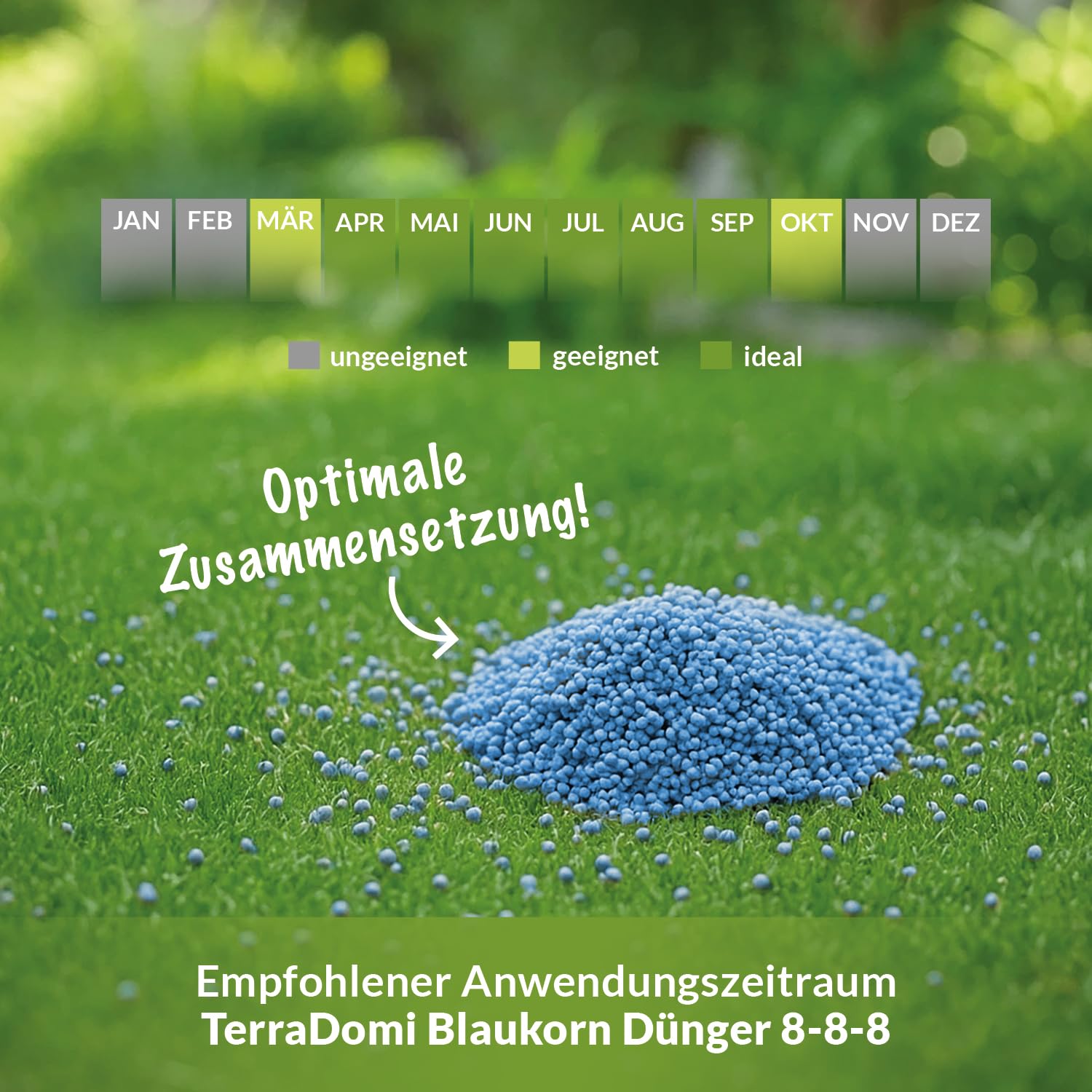 TerraDomi Blaukorn Dünger 20kg | Rasendünger Sommer mit Langzeitwirkung | Blaudünger optimal auch bei Hitzestress für einen gesunden Rasen | Volldünger & Universaldünger | 500m²
