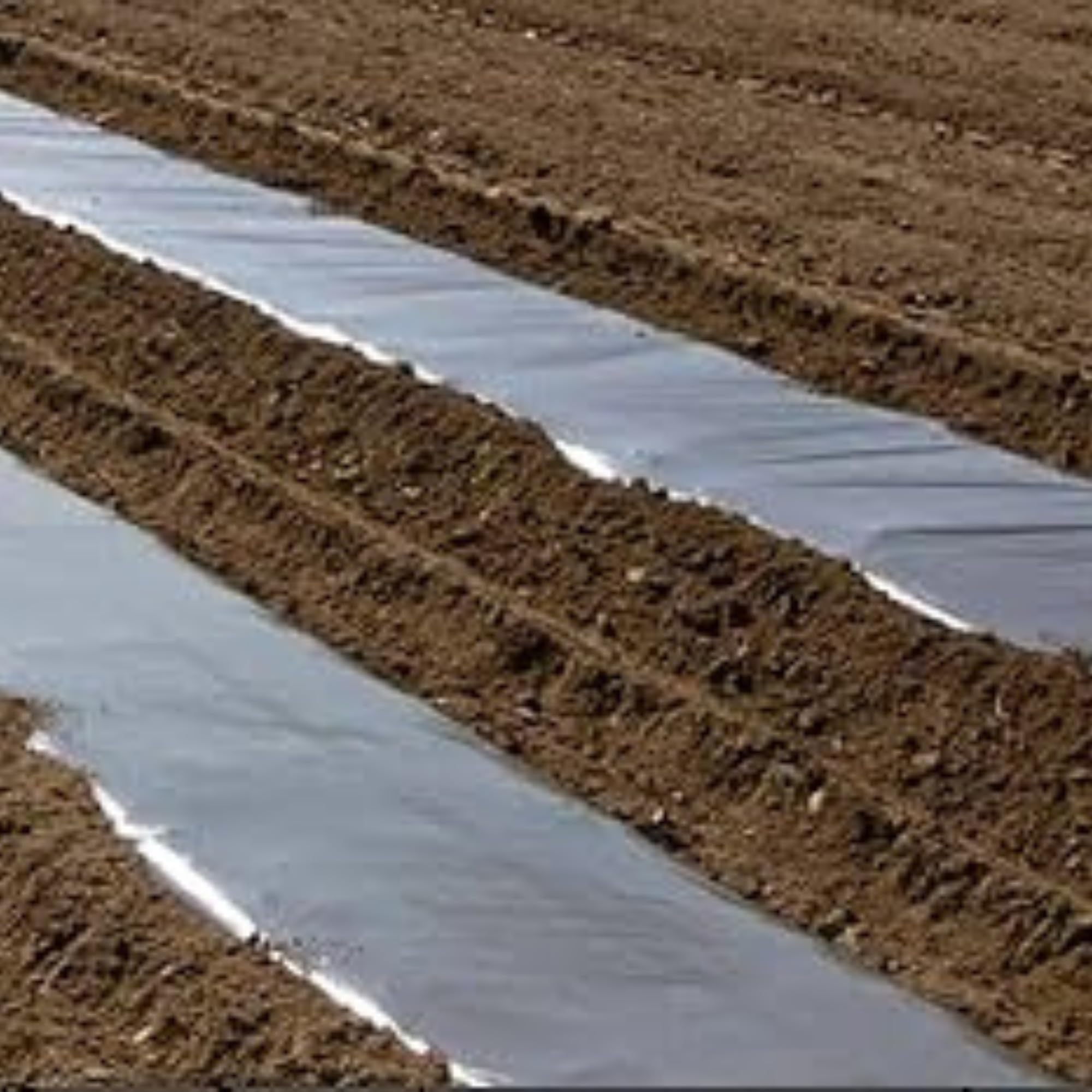 20 Micron Mulching Film - 3.25ft Width, 400m Length for Effective Weed Control and Soil Moisture Retention-image-40