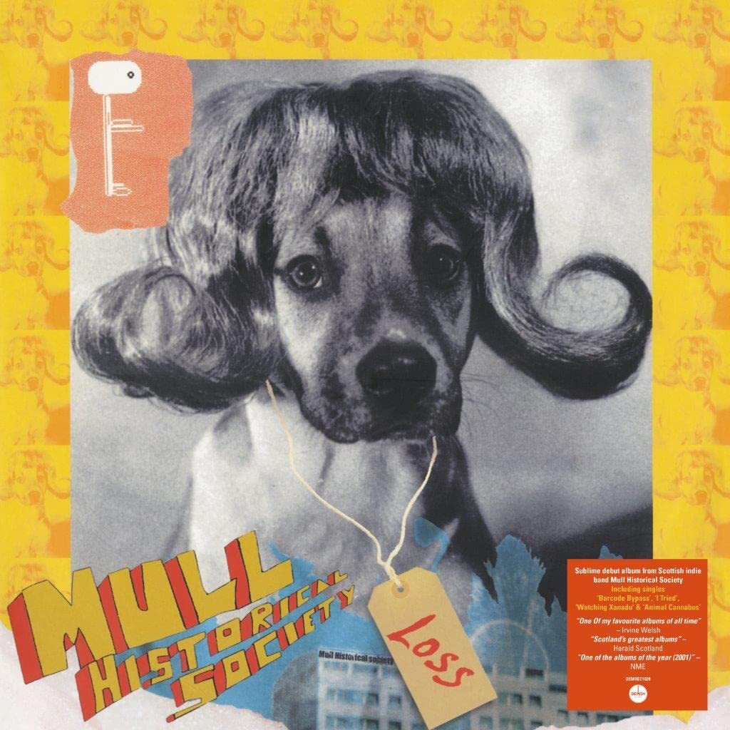 Mull Historical Society: Loss (2 x 140g Black Vinyl) [VINYL]