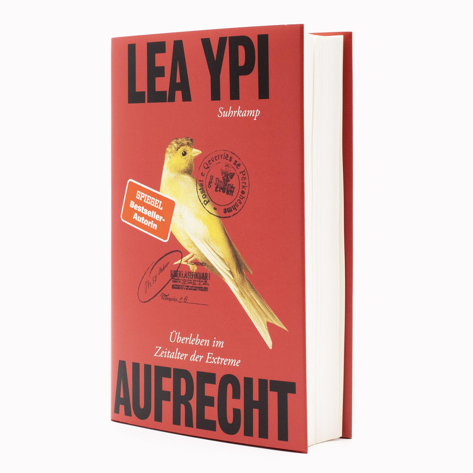 Aufrecht: Überleben im Zeitalter der Extreme | Das lang erwartete Prequel zum international gefeierten Bestseller 'Frei'