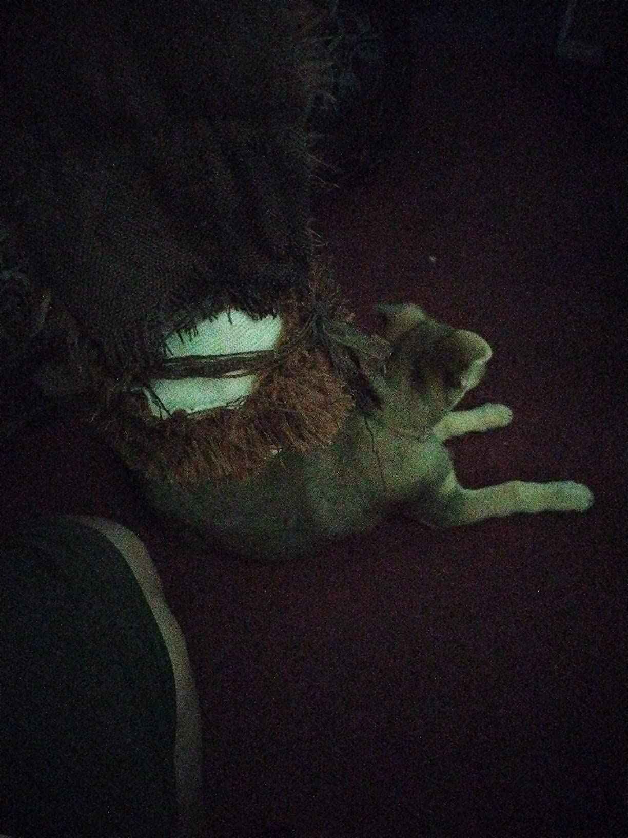 $4/mo - Finance Hyper Pet Real Skinz Plush Dog Toy with Squeaker