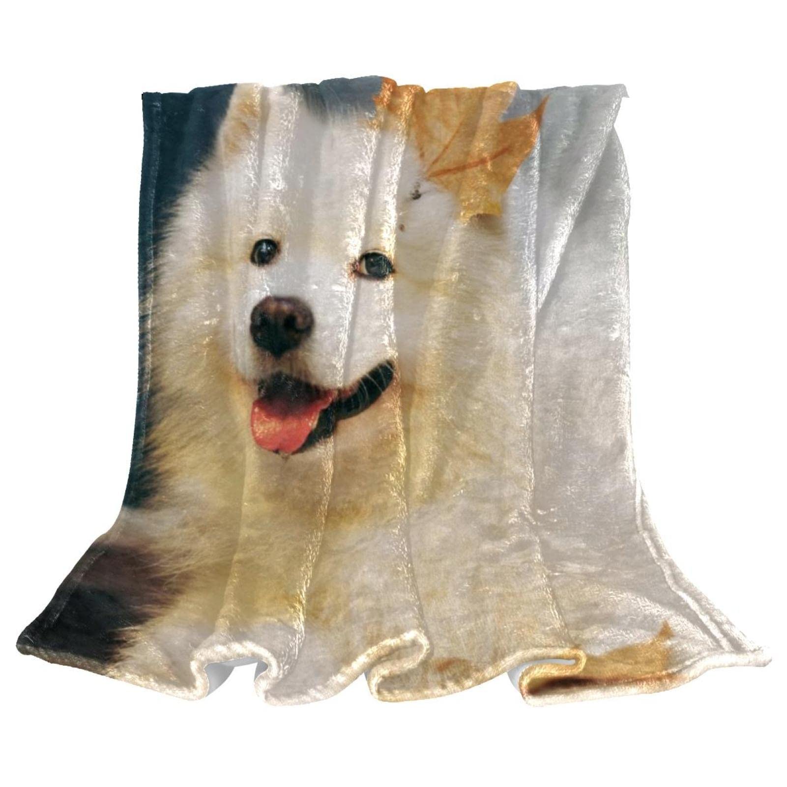 Couverture de sieste motif chien Samoyède pour des soirées cocooning au chaud