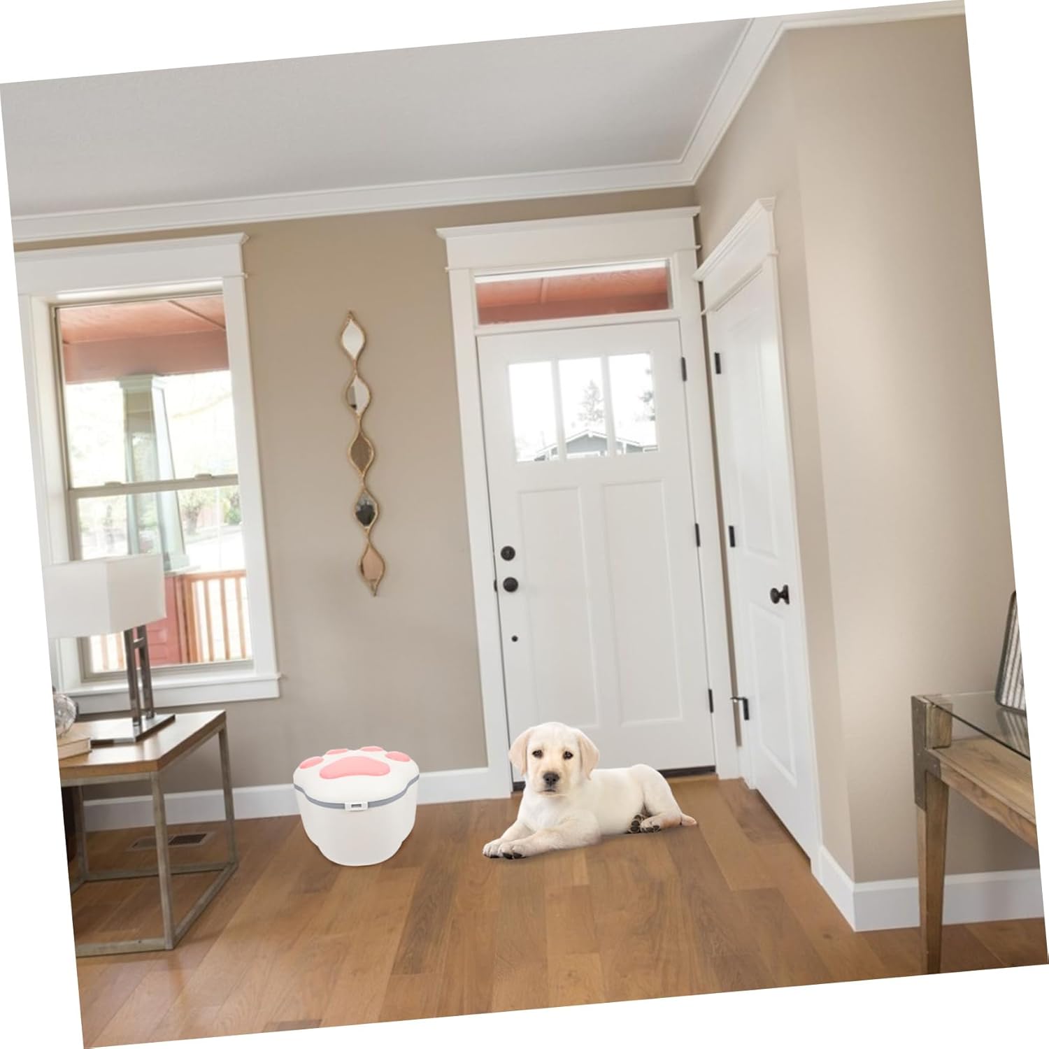 balacoo Pet Food Storage Container Airtight Dog Food Bin Decorative Design Plastic for Cat Treats