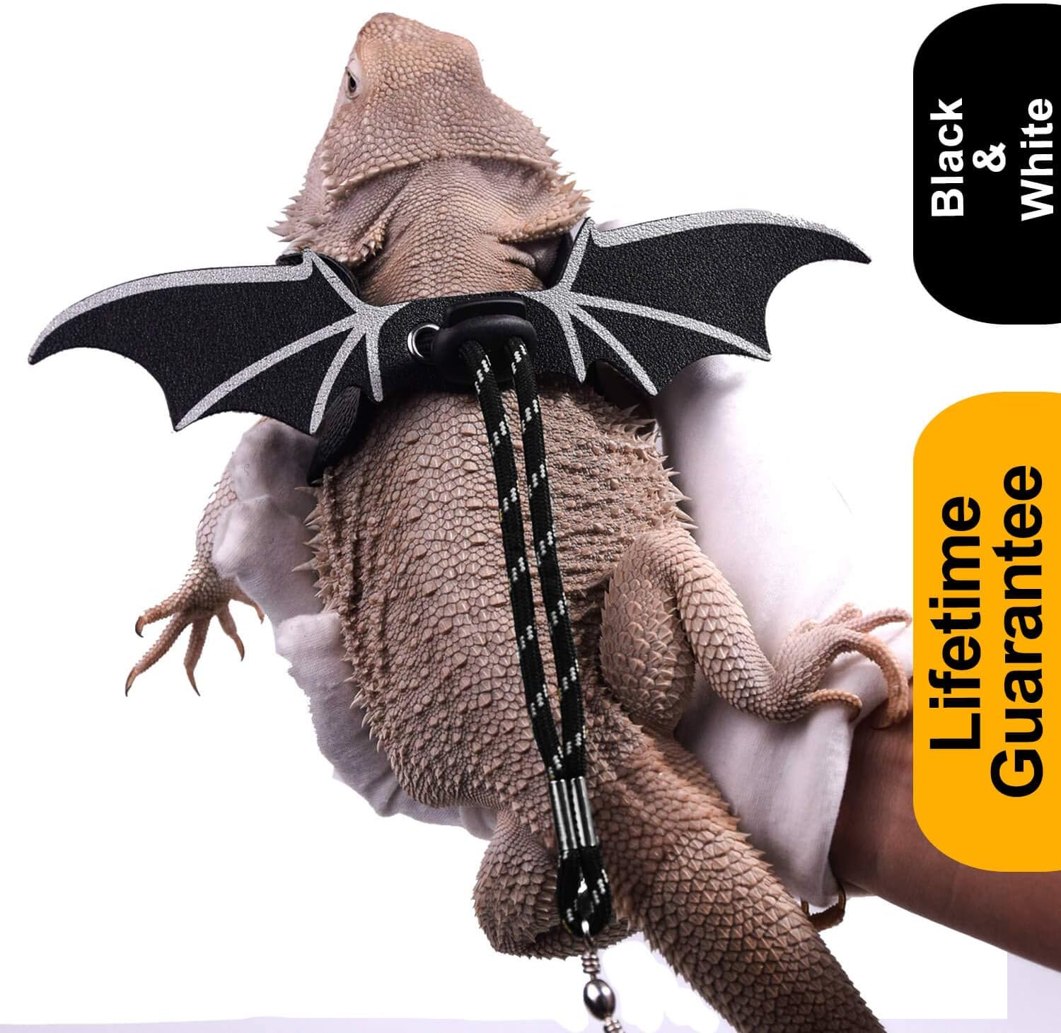 WATFOON Adjustable Lizard Leash Bearded Dragon Harness Soft Leather Cool Wings Training Leashes for Reptiles Leopard Gecko Anole Hamster…