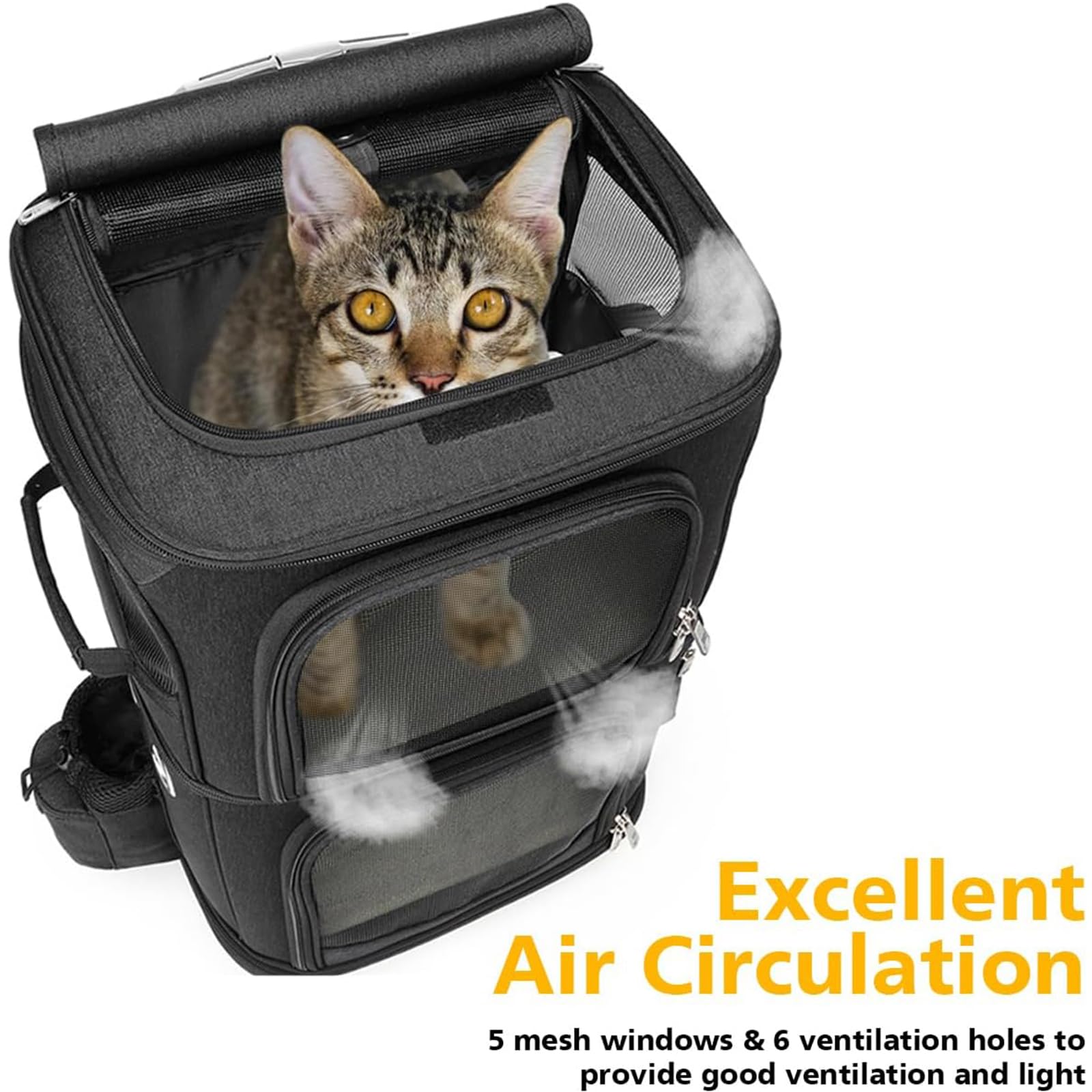 Transportín para Mascotas con Ruedas, Mochila Doble para Gatos con Ruedas Desmontables, Bolsa De Viaje Portátil, Mochila Plegable para 2 Gatos/Perros Pequeños/Conejos,Negro