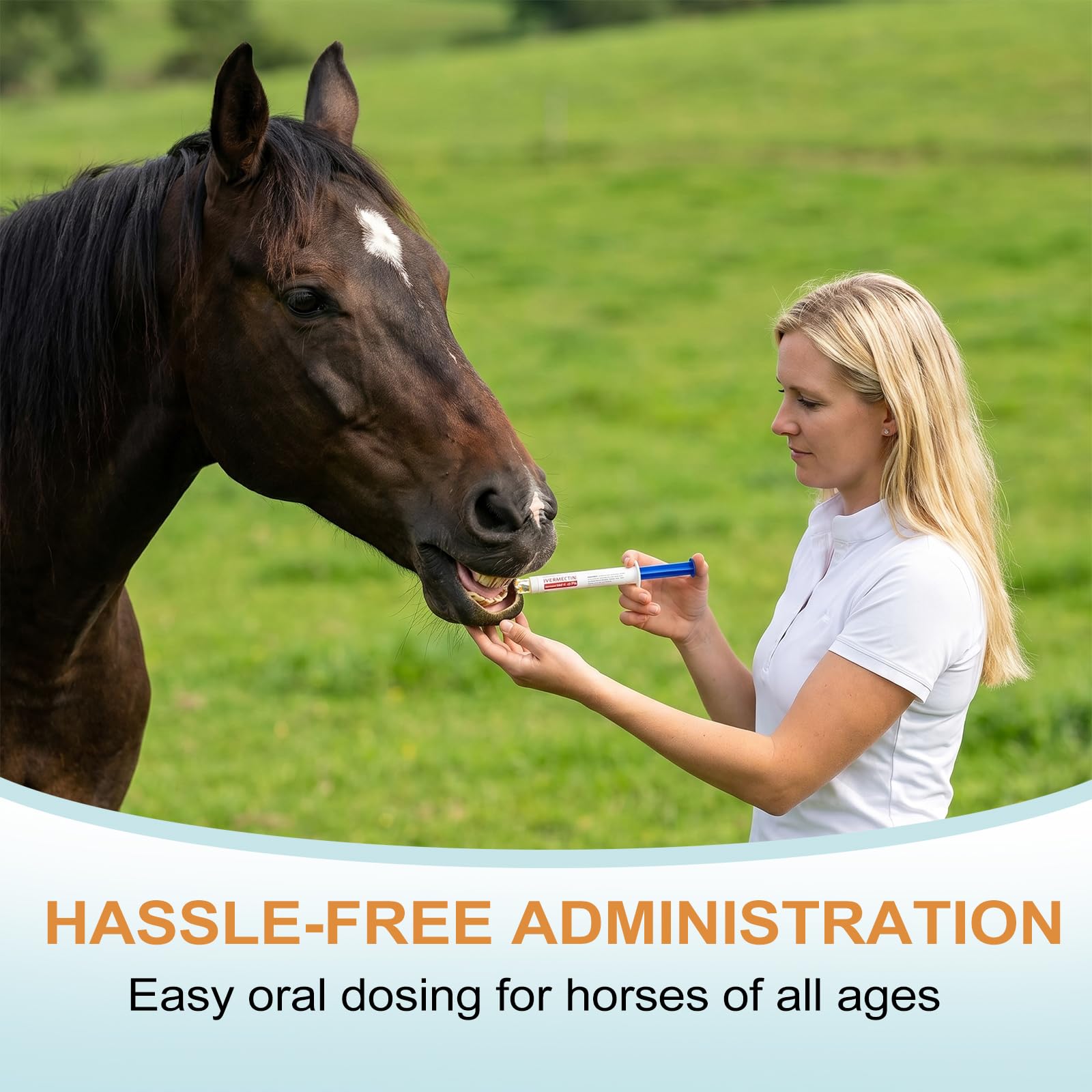 Lot de 6 gels pour chevaux 1,87 % goût pomme pour chevaux jusqu'à 567 kg - Gel simple pour tous les âges