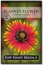 Sow Right Seeds - Blanket Flower Seeds for Planting - Non-GMO Heirloom Seeds Packet with Instructions to Plant Your Garden - Perennial Indian Gaillardia - Grow Native Gardens, Add a Color Bonanza (1)